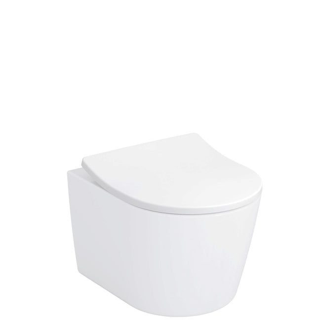 RP Wall-Hung D-Shaped Dual Flush Toilet with DuoFit In-Wall Tank - White