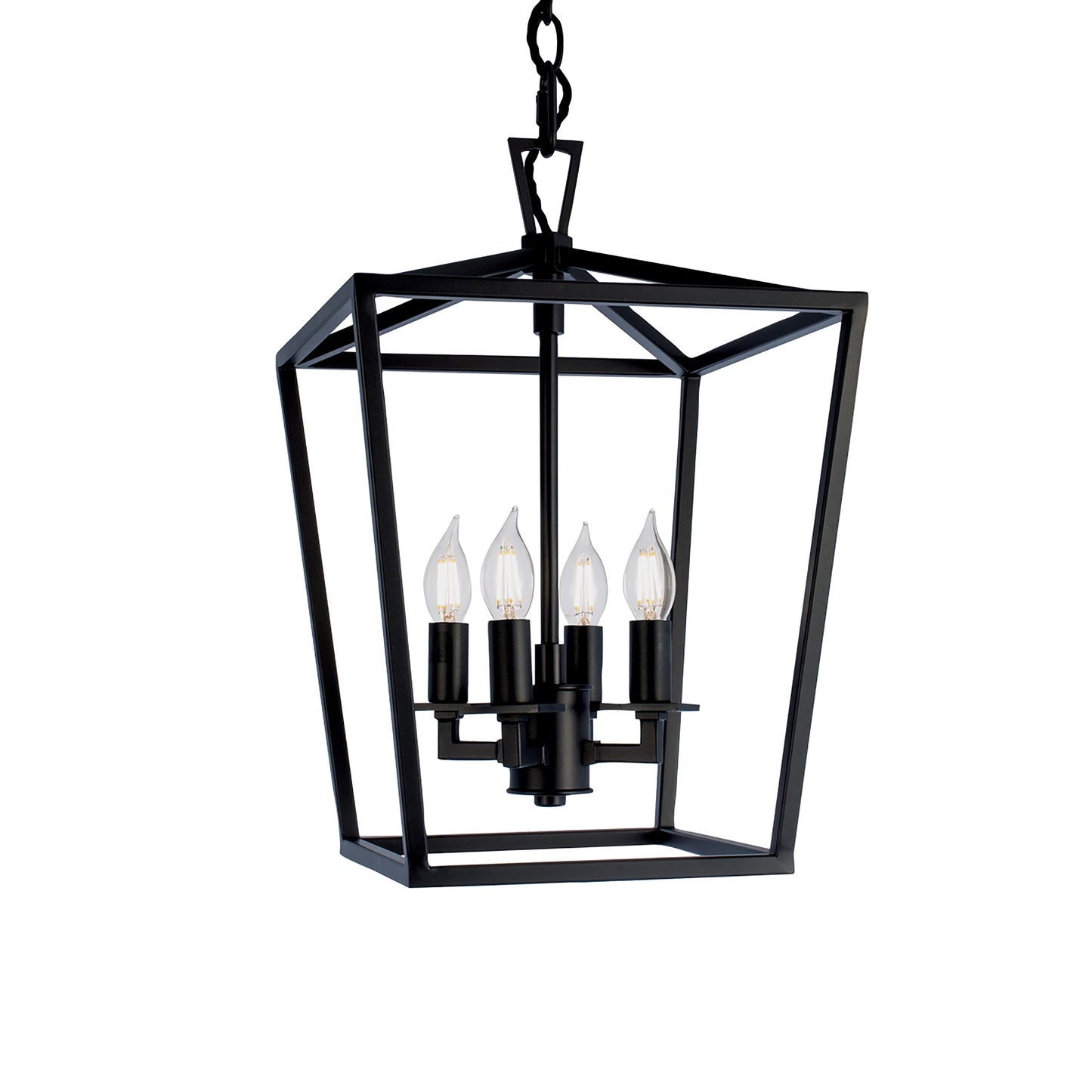 1080-MB-NG - Cage Pendant Light - Matte Black