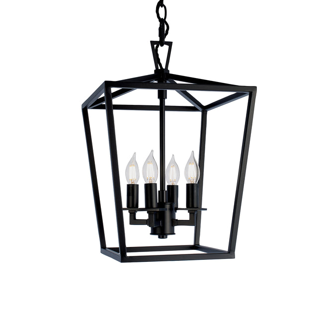 1080-MB-NG - Cage Pendant Light - Matte Black