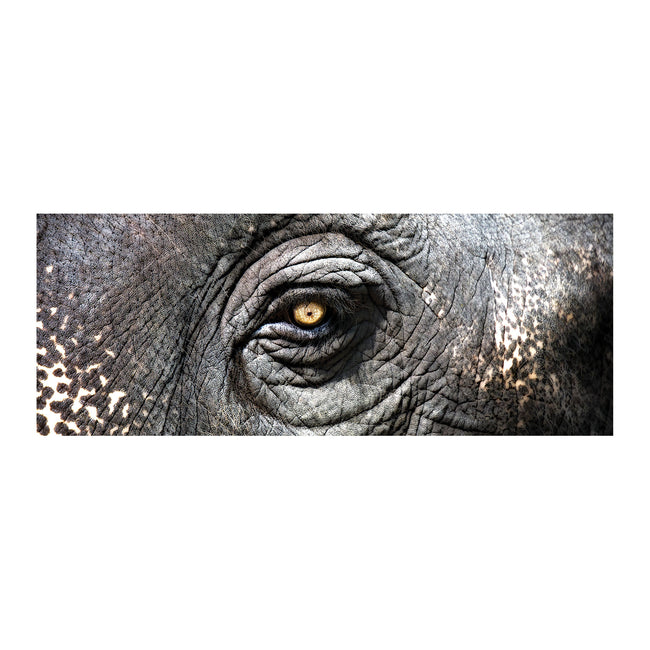 146-025 - Elephant Study (Exclusive Gianni Rusconi Print on Canvas)