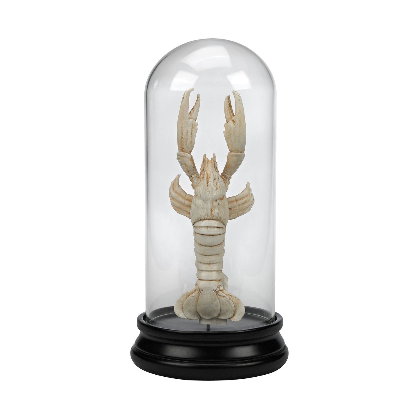 2182-011 - Naturae Ancient Lobster Curio