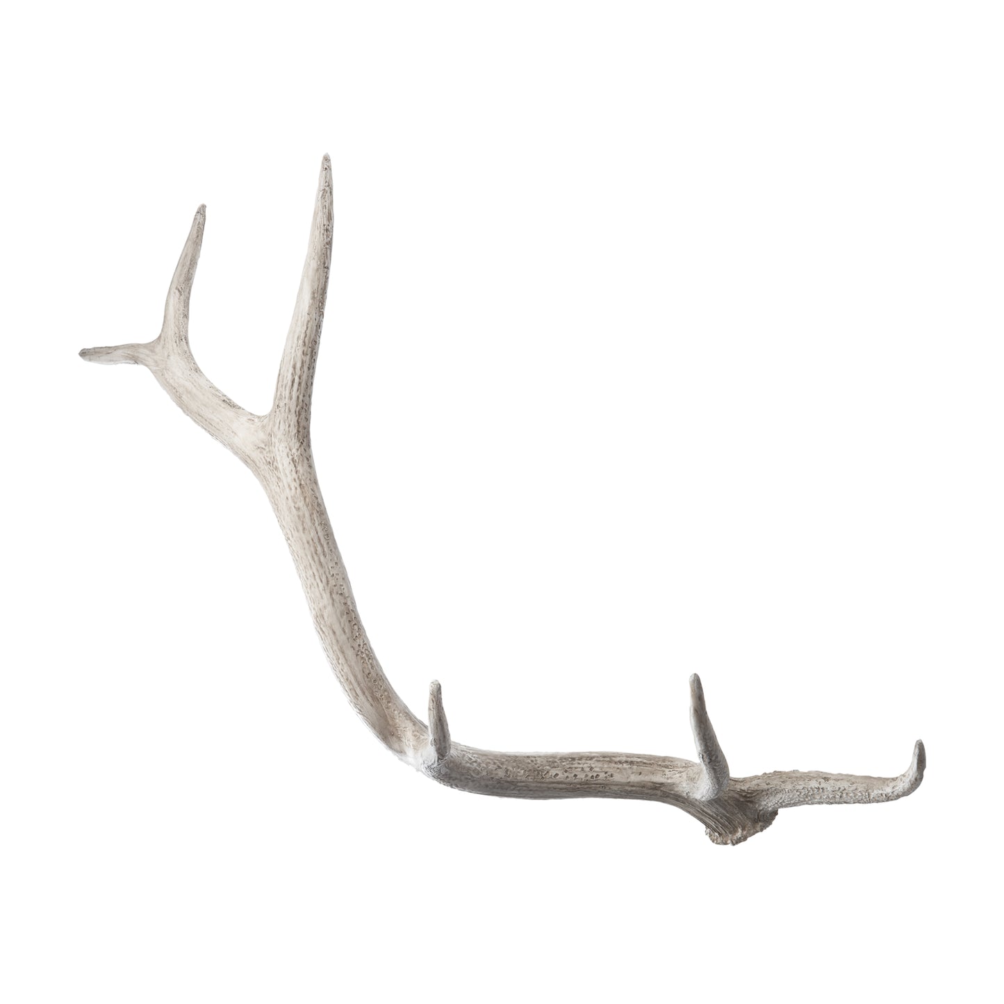 225025 - Weathered Resin Elk Antler