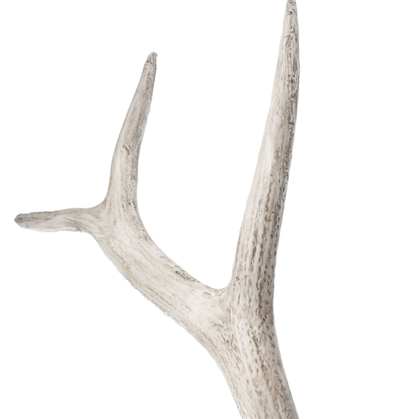 225025 - Weathered Resin Elk Antler