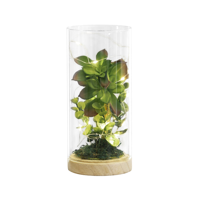 634222 - Luna Lighting Terrarium