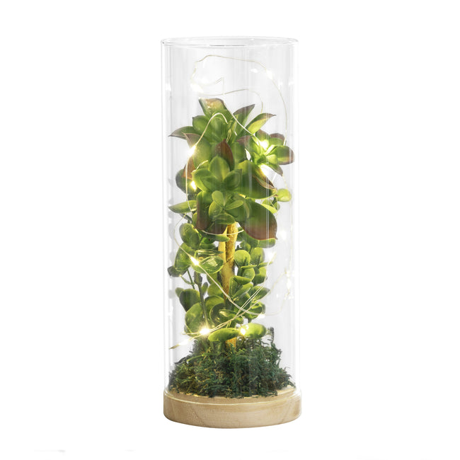 634239 - Luna Lighting Terrarium