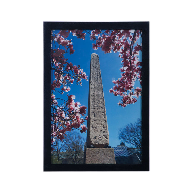 7011-1096 - Central Park Obelisk