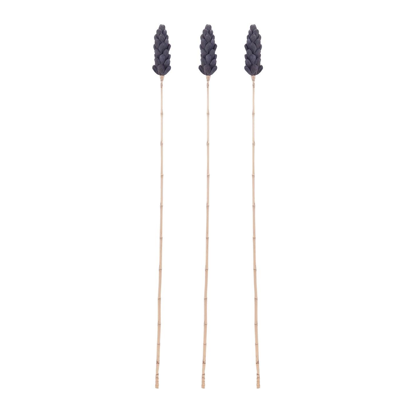 7159-027/S3 - Bronze Corn Leaf Stem (Set of 3)