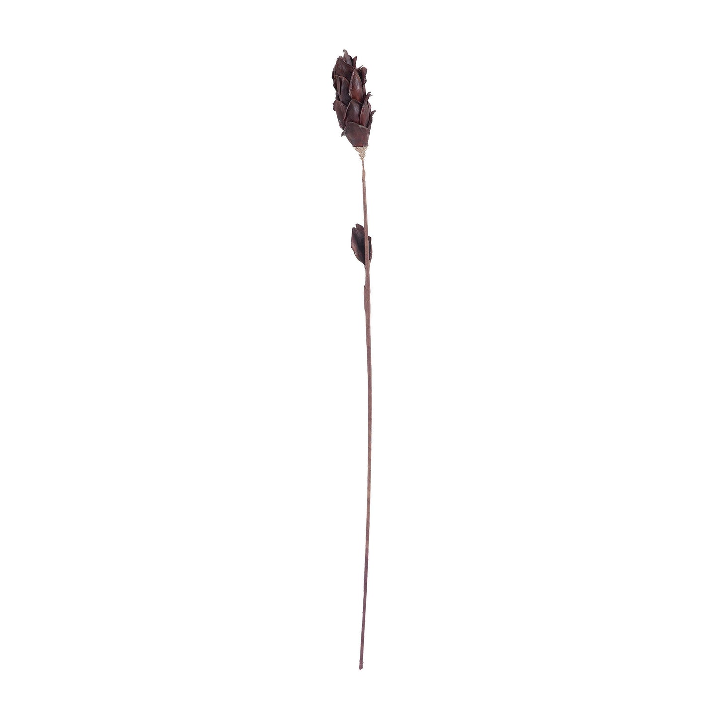 7163-069B - Black Corn Leaf Pole