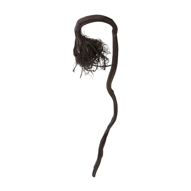 742007 - Curly Black Kelp Root