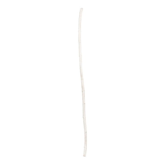 784062 - White Washed Twisted Stick