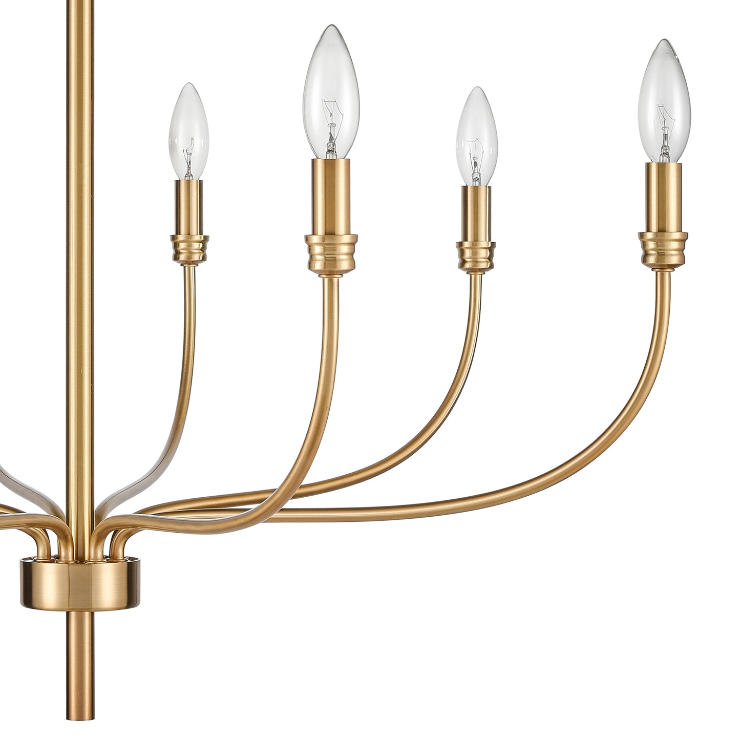 81507/8 - Newland 34'' Wide 8-Light Chandelier - Satin Brass