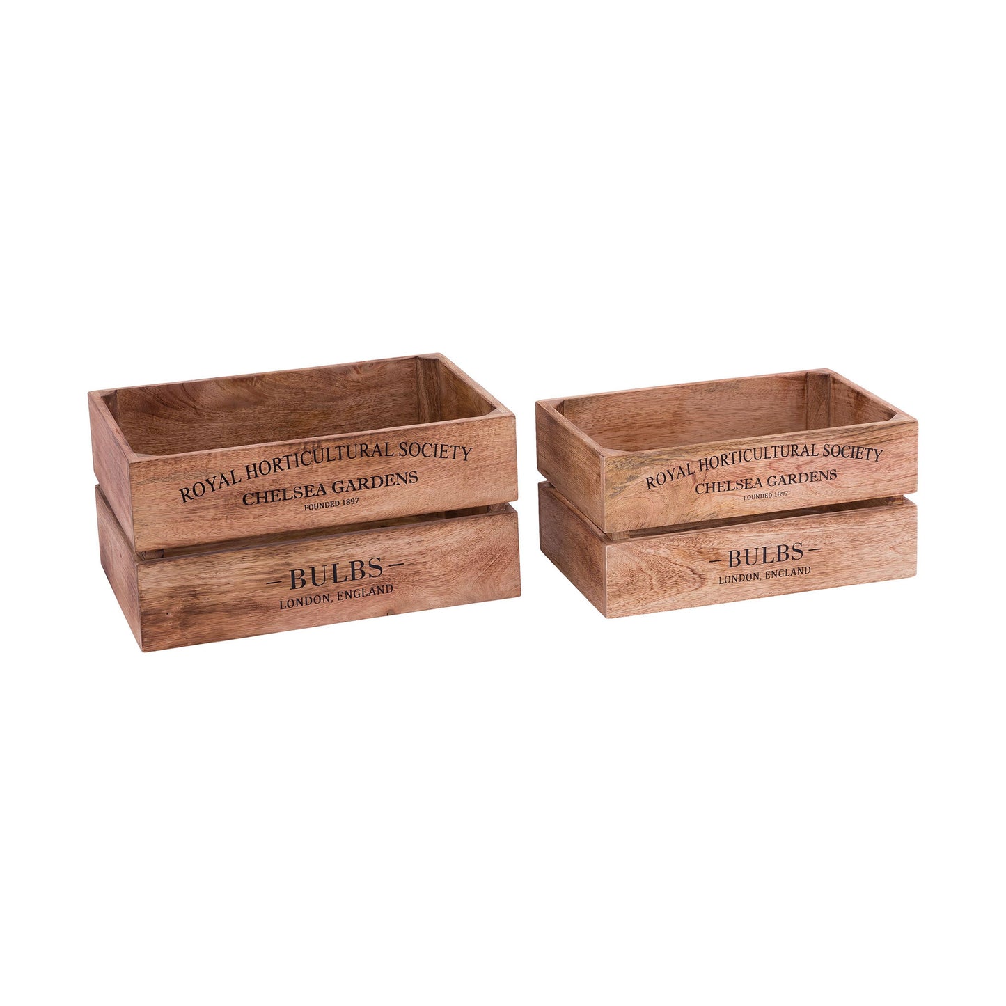 BOX002 - English Bulbs Boxes (Set of 2)