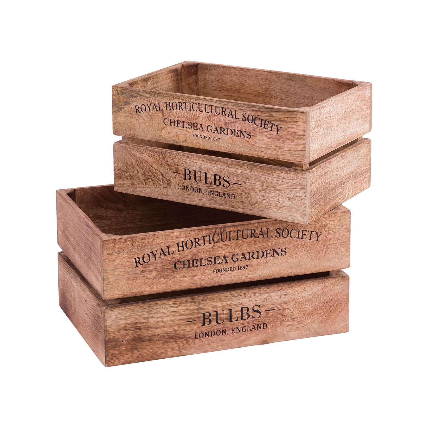 BOX002 - English Bulbs Boxes (Set of 2)