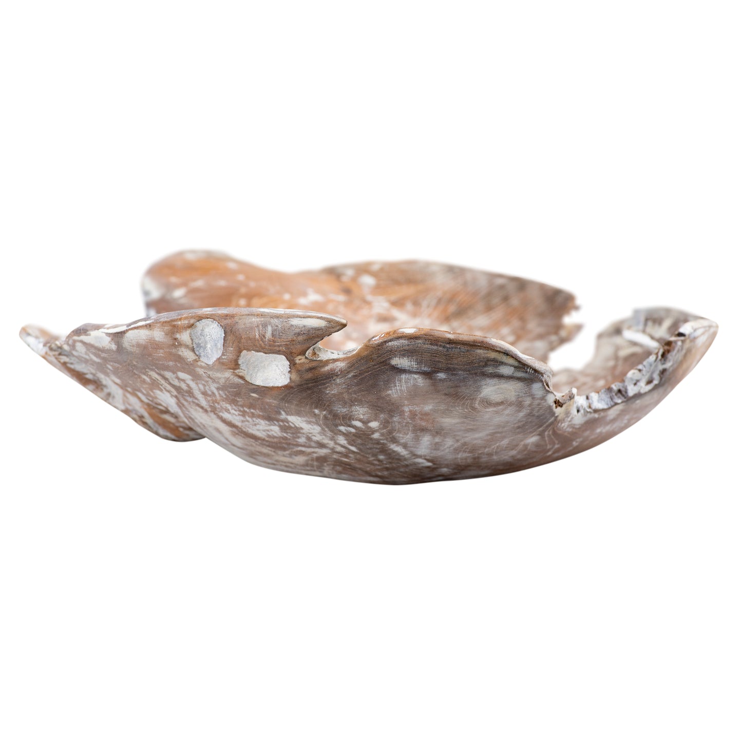 H0627-10910 - Charbin Bowl - White