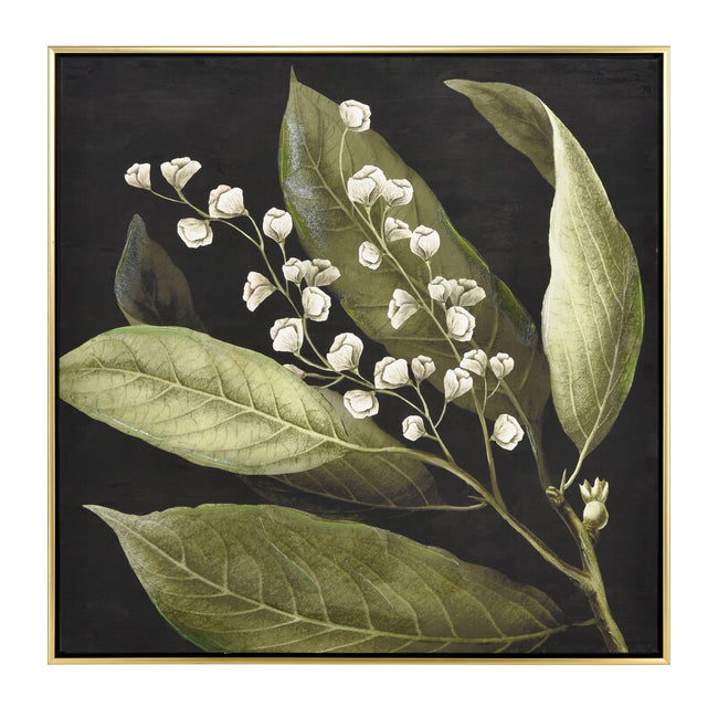 S0016-10168 - Botanical Study I Framed Wall Art