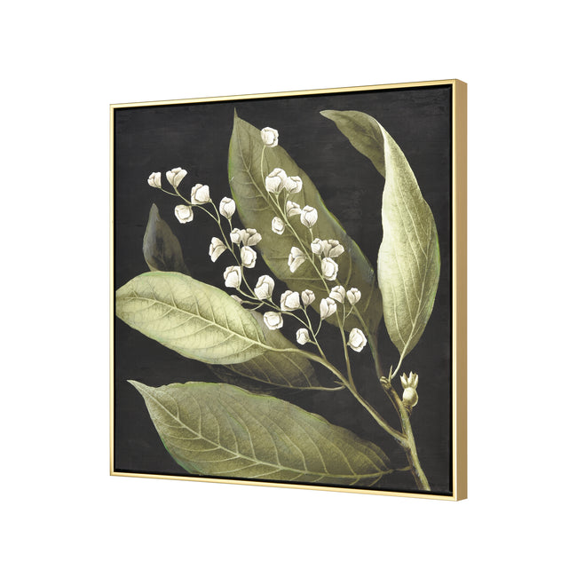 S0016-10168 - Botanical Study I Framed Wall Art