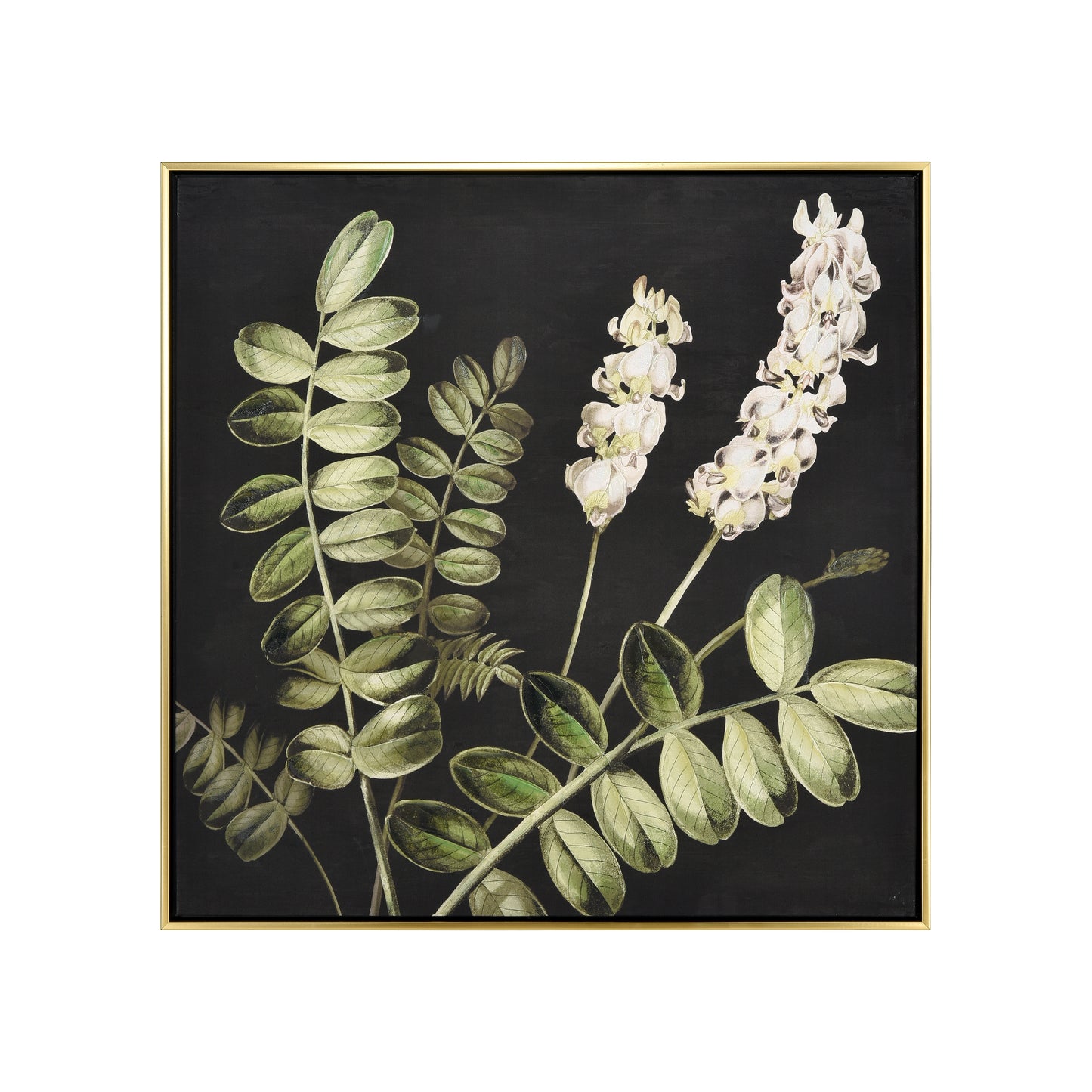 S0016-10169 - Botanical Study II Framed Wall Art