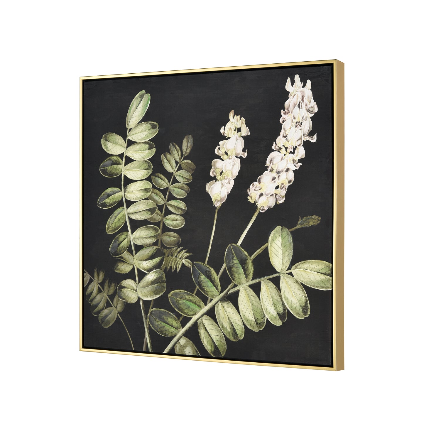 S0016-10169 - Botanical Study II Framed Wall Art