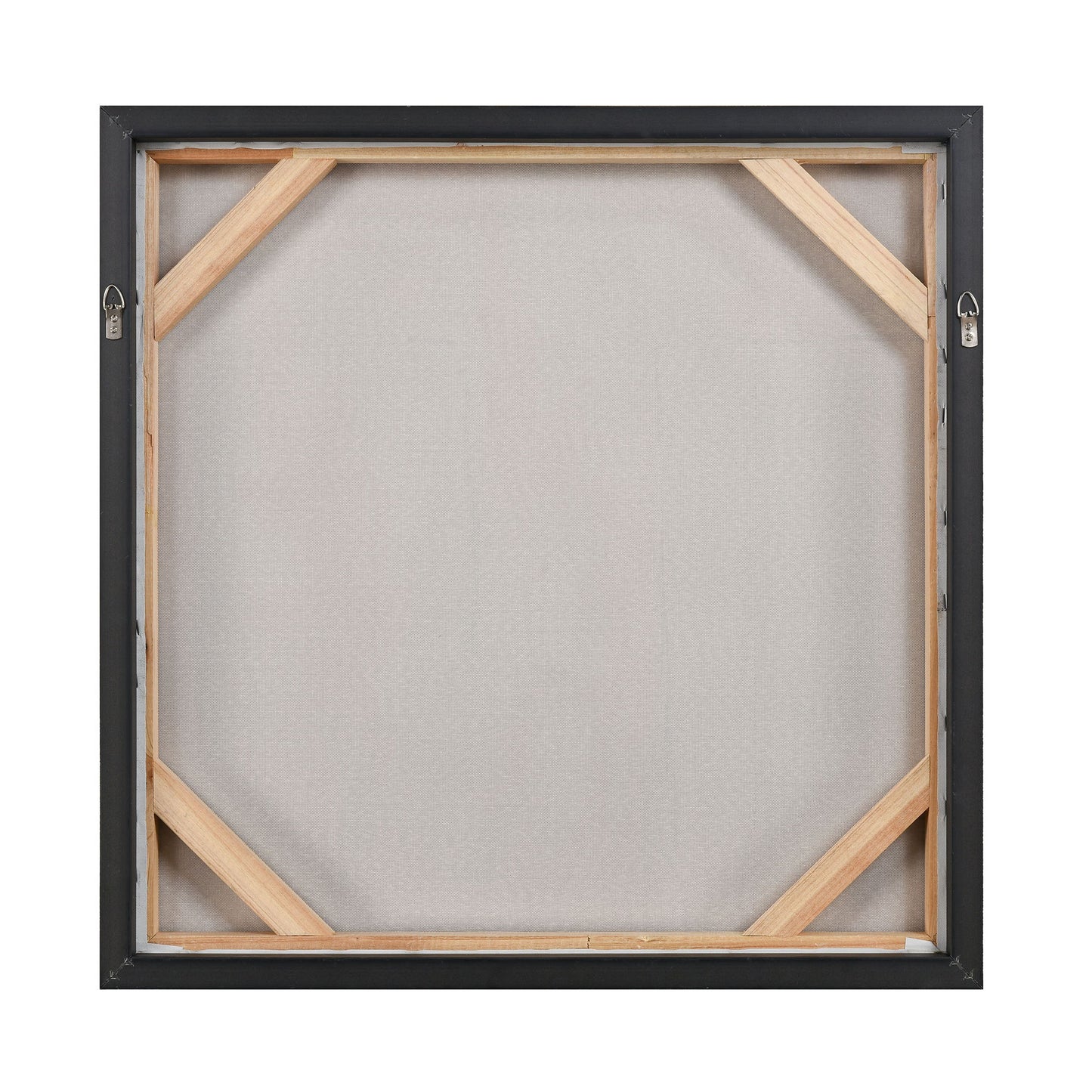 S0016-8129 - Modern Blush I Framed Wall Art