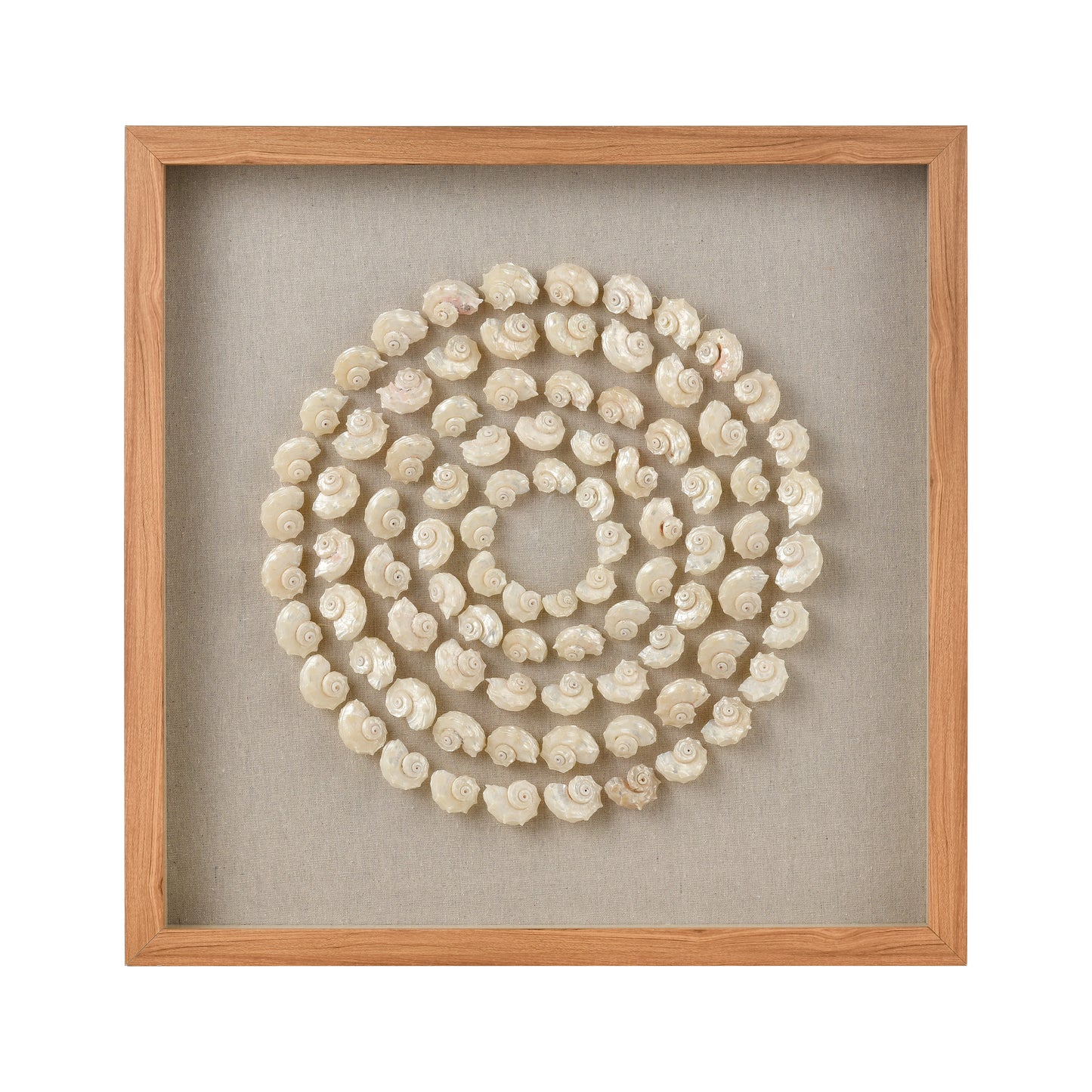 S0036-11263 - Concentric Shell Dimensional Wall Art