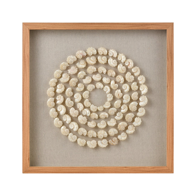 S0036-11263 - Concentric Shell Dimensional Wall Art