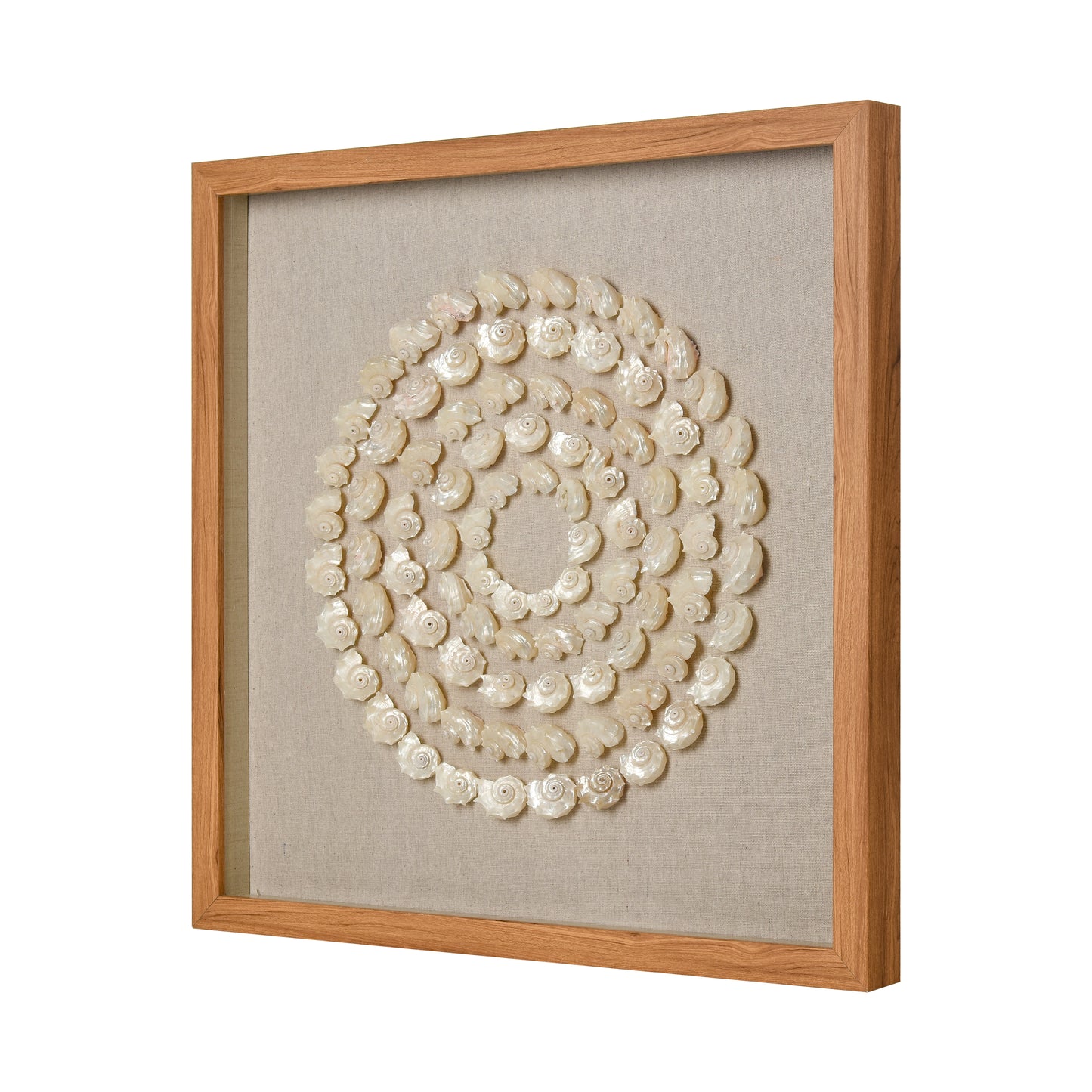 S0036-11263 - Concentric Shell Dimensional Wall Art