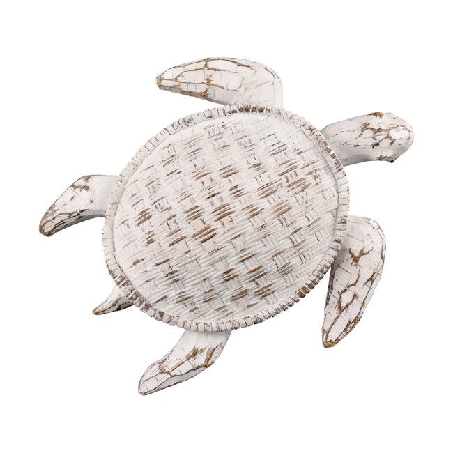 S0037-11229 - Aly Turtle - Whitewash