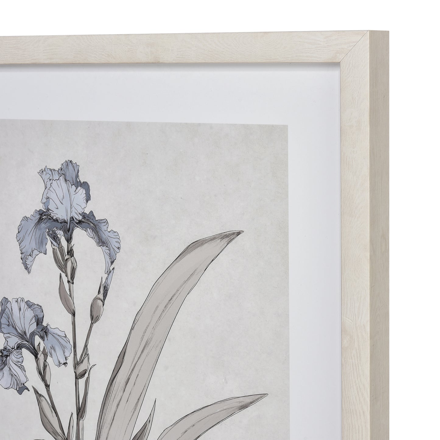 S0056-10633 - Iris Botanic Framed Wall Art