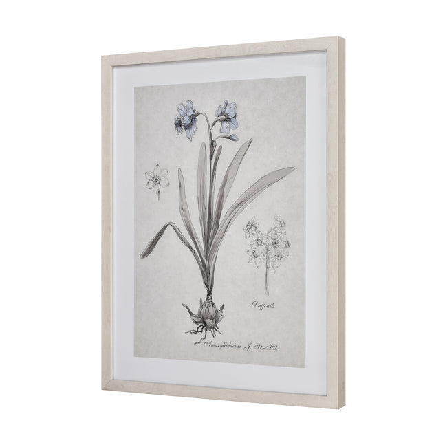 S0056-10634 - Daffodil Botanic Framed Wall Art