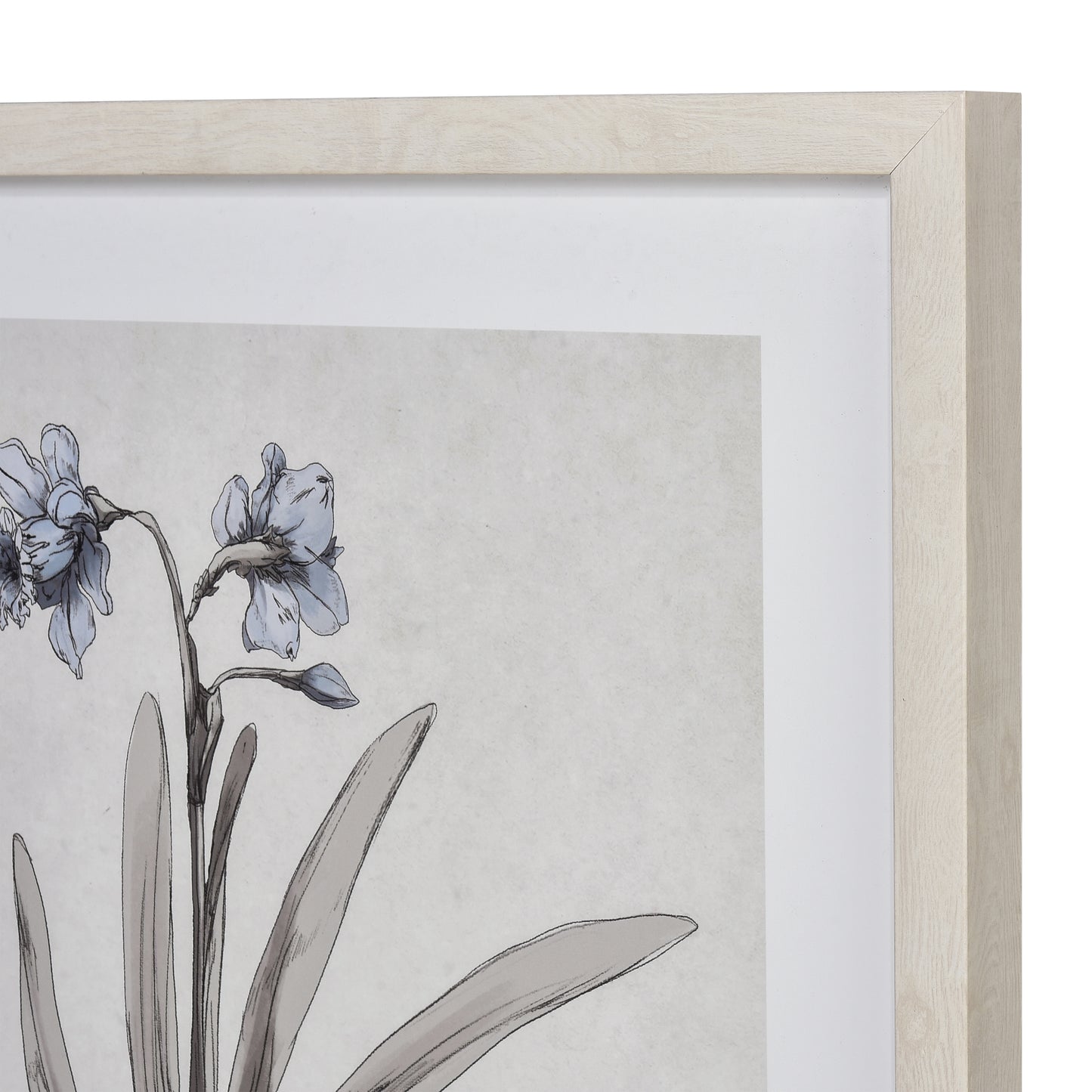 S0056-10634 - Daffodil Botanic Framed Wall Art