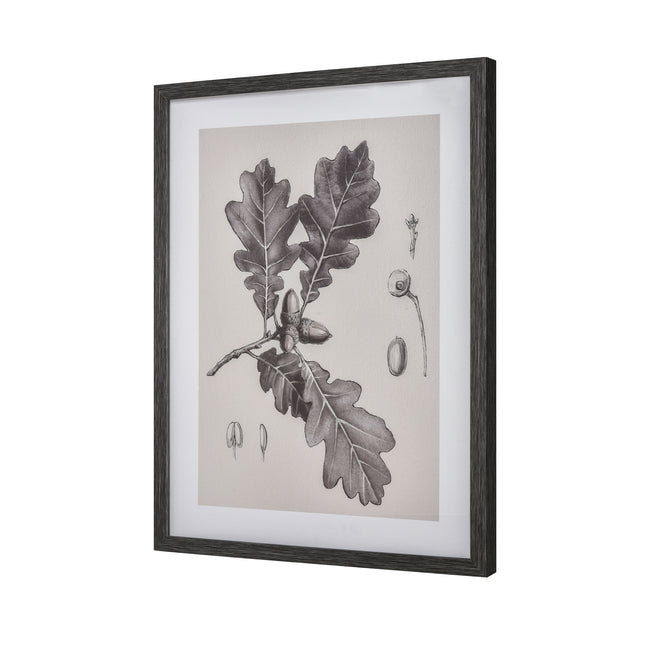 S0056-10636 - Oak II Botanic Framed Wall Art