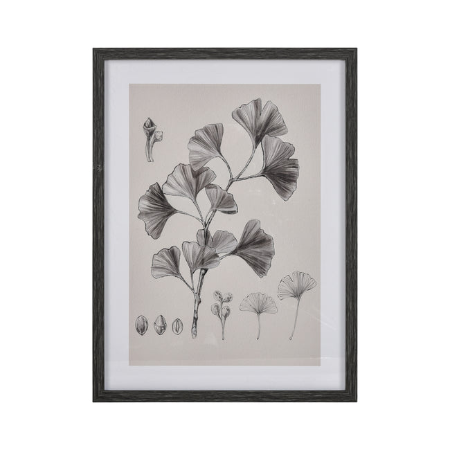 S0056-10637 - Ginkgo Botanic Framed Wall Art