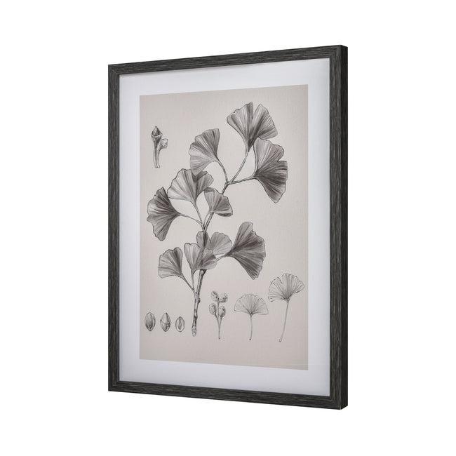 S0056-10637 - Ginkgo Botanic Framed Wall Art