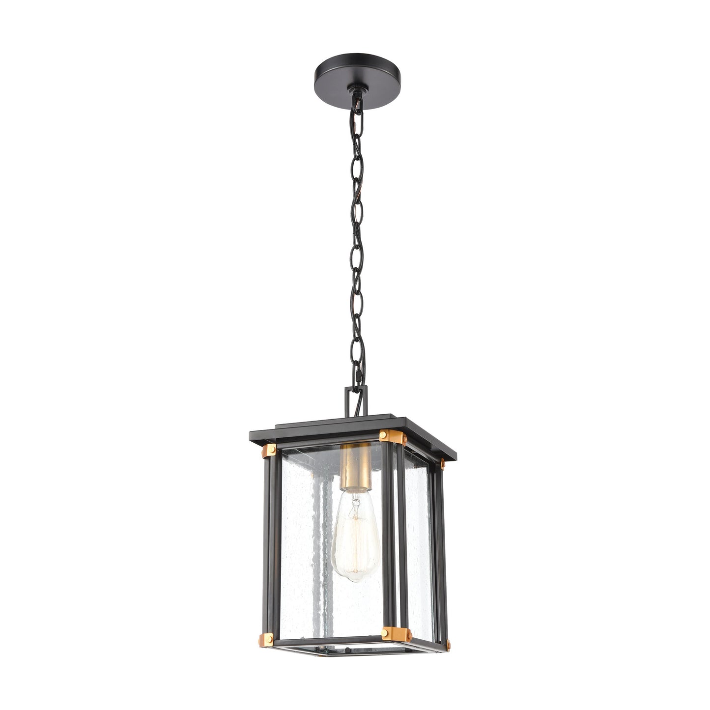 ELK Lighting 46723/1 - Vincentown 8" Wide 1-Light Hanging in Matte Black with Seedy Glass