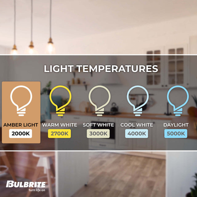 776909 - Filaments Dimmable ST18 LED Light Bulb - 7 Watt - 2100K - 2 Pack