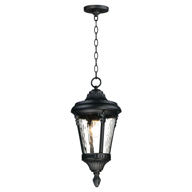 Maxim 3058WGBK - Sentry 1 Light 20" Pendant